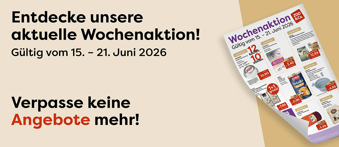 Entdecke die aktuelle Wochenaktion!